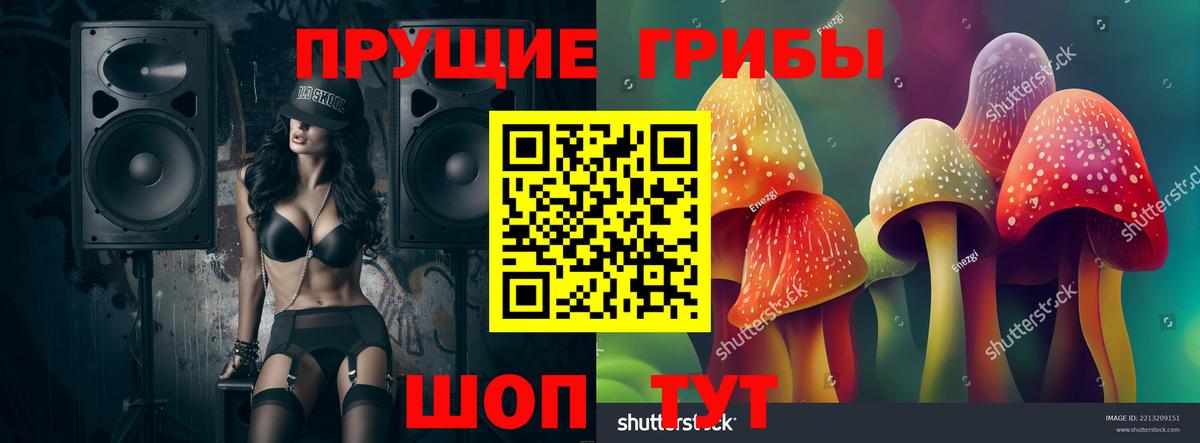 Свободный  Псилоцибиновые грибы Cubensis  Вход с VPN  Псилоцибиновые грибы Psilocybe 